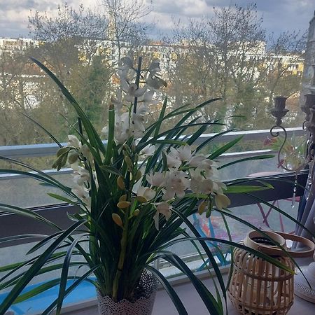 Chambre Chez L'Habitante Avec Salle De Bain Et Cuisine Communes - Presence D'Un Chat Bordeaux Exteriör bild